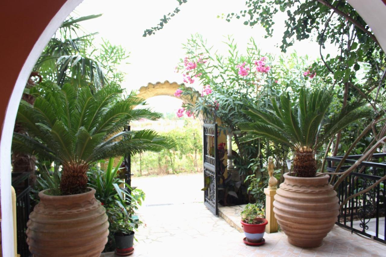 Nefeli Guest house 2*