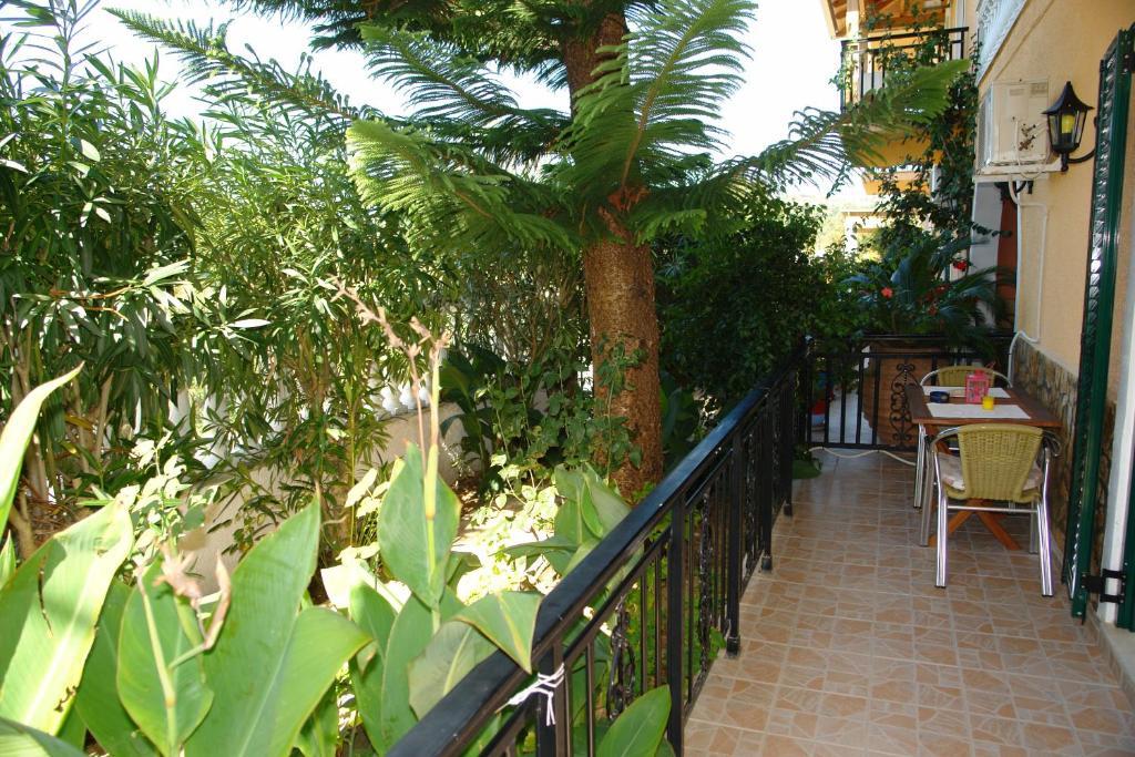 Nefeli Guest house 2*