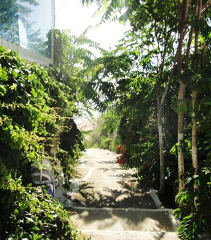 Nefeli Guest house 2*